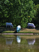 Buri