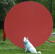 Dog Days at Lynden