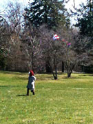 Kites Over Lynden: A Day for Art & Flying
